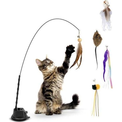 Ensemble de jouets pour chats Lollanda 7 pièces comprenant une canne à pêche, une ventouse et des plumes - Jouet écologique pour chats d'intérieur (1/5)