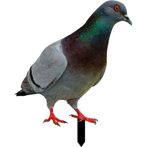 Taubenstatue zur Dekoration des Gartens – Tierfigur für Rasen- und Blumenbeetgestaltung, handbemalt, wetterfest & dekorativ