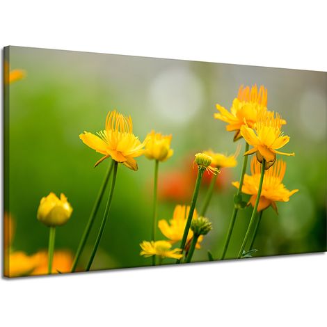 Leinwanddruck Botanik Gelbe Blumen 120x70 cm