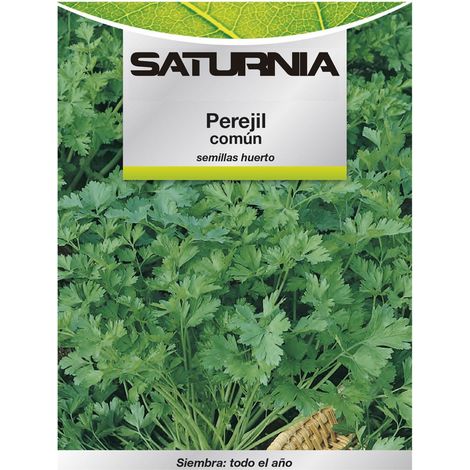 Semillas Perejil Comun (8 gramos) Semillas Verduras, Horticultura, Horticola, Semillas Huerto. (1/2)