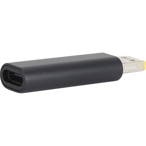 USB-C-Buchse auf kleinen geraden Tetraederstecker-Stecker-Adapter für Lenovo-Laptops (12V PD-Laden) (1/5)