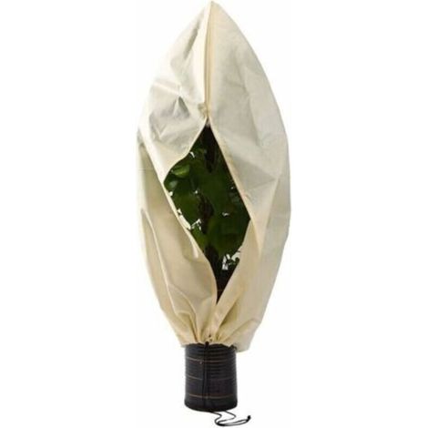 Housses pour plantes Housse hivernage pour Plantes, Housse hivernage pour Plantes, Housse d'hivernage Non tissée 140 g/m² Protection Contre Le Gel des Plantes en Palmier et Olivier (250x360cm),de DEB (1/4)