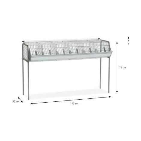 CONIGLIERA PER INGRASSO FONDO RETE 6 BOX