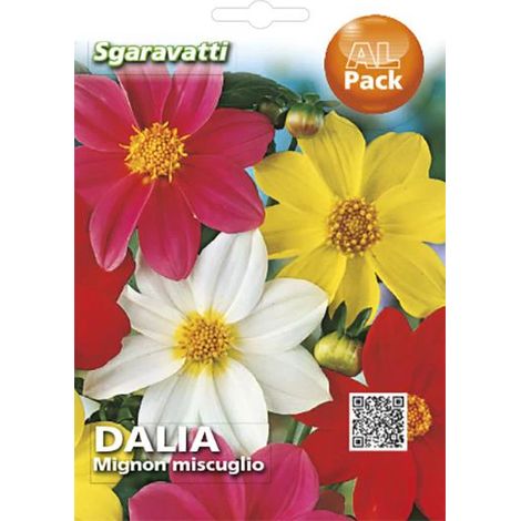 Semi per Prato Universale Dahlia Mignon Sgaravatti 20 Pezzi