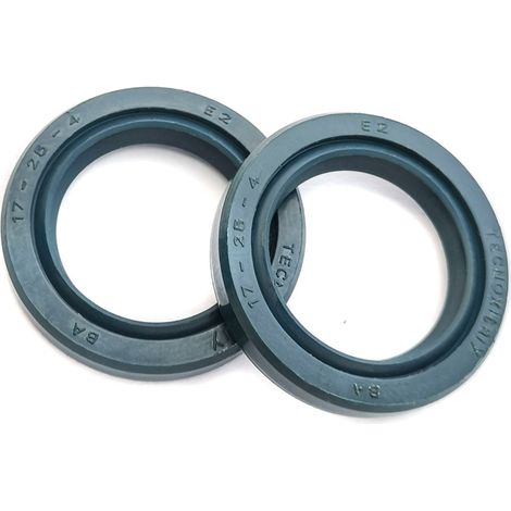 STI Paraoli 17x25x4 coppia alta scorrevolezza in Viton per Blata TecnoX (coppia)
