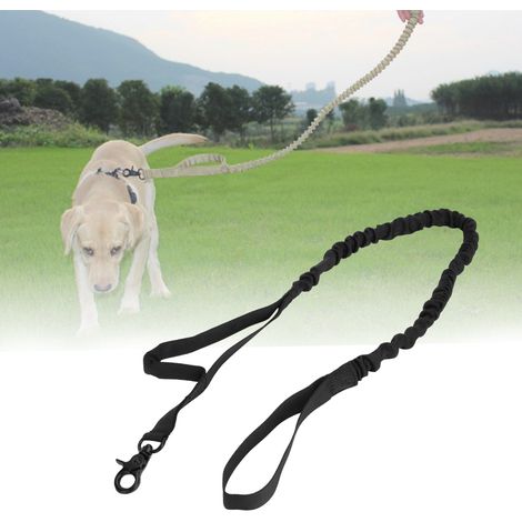 Laisse extensible pour chien de randonnée, résistante en nylon pour camping et extérieur - Noir (1/5)