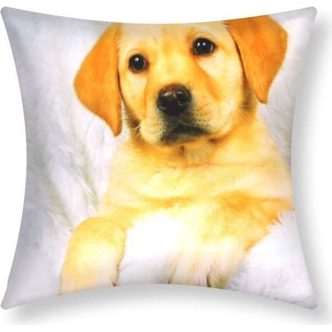 Housses de Coussin - AVIZAR - Lot de 2 - 40x40 cm - Motif Chien - Synthétique - Marron/Blanc (1/5)
