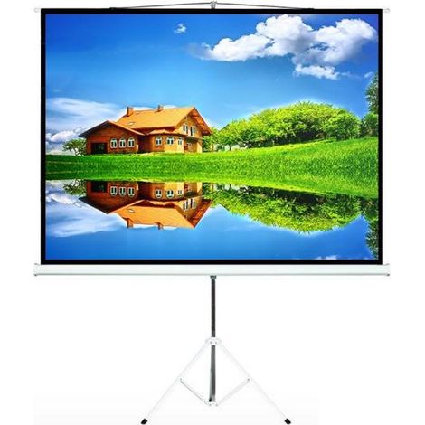 Maclean Projection Screen, Stand, 112", 1:1, 200x200, MC-680 (1/5)