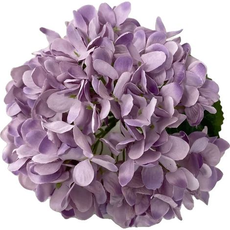 Bouquet di ortensie, design elegante, versatile per eventi, VIOLA (1/2)