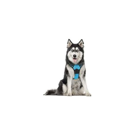 Harnais chien anti-traction bleu clair XL, gilet réfléchissant réglable, attache devant, pour grand chien, American Staff, Border Collie, trajet voiture – (1/5)