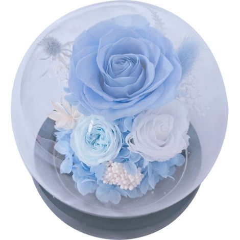 Flores preservadas bajo una cúpula de cristal: regalos para tu novia/esposa en el Día de Qixi, San Valentín, Navidad, graduación o cumpleaños.