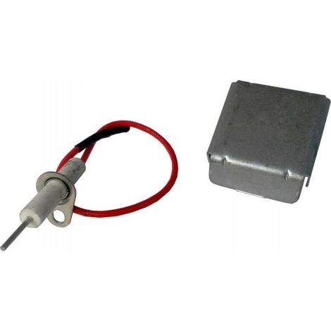 Elettrodo accensione piezo di ricambio con supporto per Barbecue Campingaz Expert Deluxe