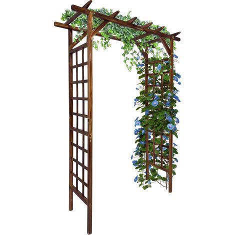 Arco de jardín, madera maciza de abeto, uso versátil en exteriores, carbón vegetal carbonizado plano. (1/2)