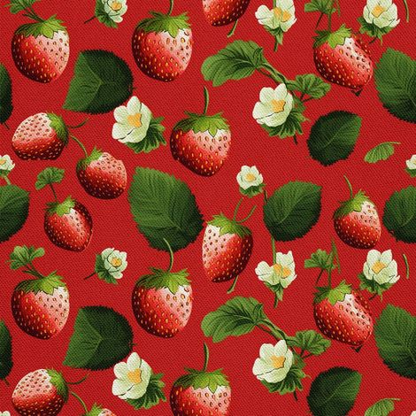 Decoffe Oxford de exterior - Motiv Obst  DX6050 (1/5)
