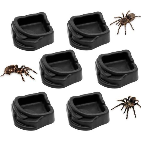 Juego de 6 bebederos para arañas saltarinas  Plato de comida  Recipiente de alimentación para terrario de interior para tarántulas (1/5)