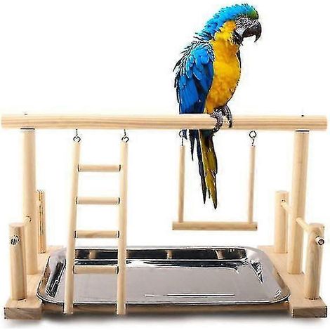 Cadre d'entraînement pour perroquet avec plateau de nourriture - Accessoires pour animaux de compagnie (1/5)