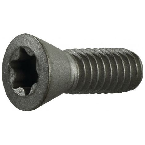 Vis de serrage taille T20 pour taille du panneau TCMT 16/SCMT 12 adapté à fraise à chanfreiner