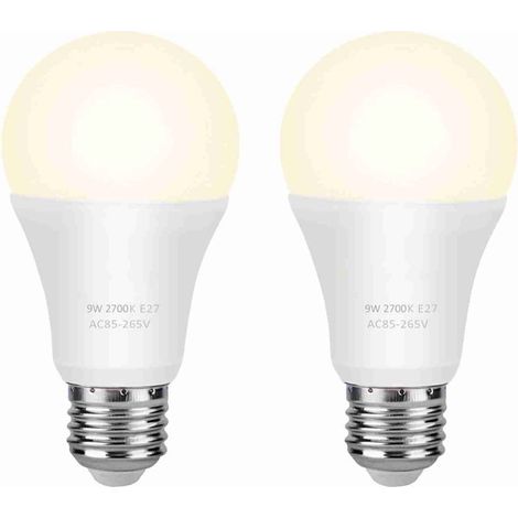 Ampoule néon LED, économique en énergie, polyvalente, utilisable dans les garages, les jardins, les cours. (1/5)
