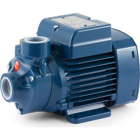 Pedrollo – Pompe de surface 0,37 kW – Débit 40 L/min – Hauteur manométrique 38 m – Corps en fonte – Turbine en laiton pour eau propre