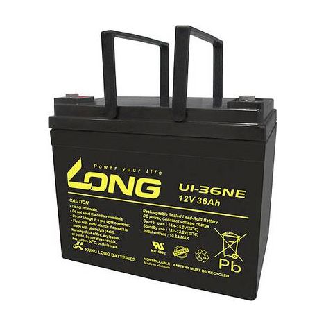 Long Batterie au Plomb U1-36NE 12V 36Ah Noir (1/2)
