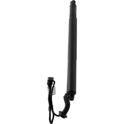 Portón Resorte de gas izquierda for BMW X6 F16 F86 2016-2019 (1/5)