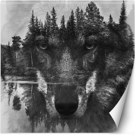 Fototapete, Waldwolf im Nebel, See - 150x150 (1/5)