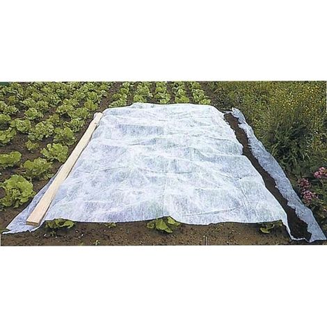 Voile d'hivernage Blanc 60g-m2 2 x 10m (1/5)