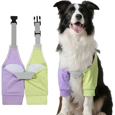 Coudière pour Chien, Genouillères pour Animaux de Compagnie Couleurs Contrastées, Bandage de Coude pour Chiens À Porter en Toute Saison, Protège-Coude Genouillère pourChien (1/5)