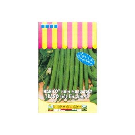 Haricot nain mangetout Irago - 100g