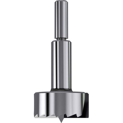537.400.31 PUNTA TIPO FORSTNER -SP- Z2+2R D=10X30 D=40X90 DX
