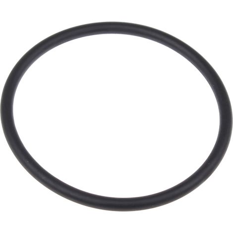 O-Ring 95x6 guarnizione motore Kärcher 9.080-453.0