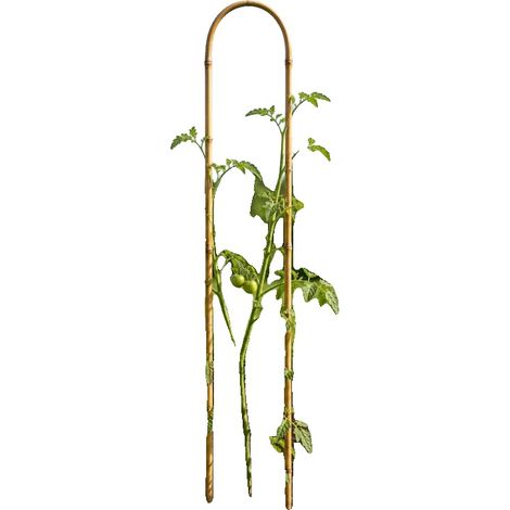 Pflanzenstütze, Bambusmaterial, 105 cm x 15 cm Abmessungen, Geeignet für Kletterpflanzen, Stabile Wachstumsunterstützung, Umweltfreundliches Design (1/5)