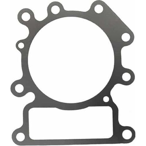 Guarnizione testa BRIGGS et STRATTON 794114