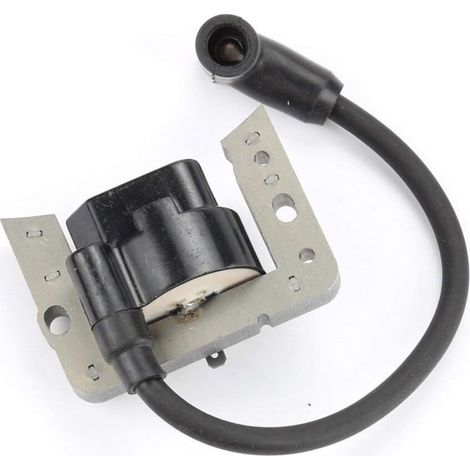 Hippotech 34443D Bobine d'allumage avec bougie pour Tecumseh 34443 34443A 34443B 34443C Module à semi-conducteurs pour Tecumseh