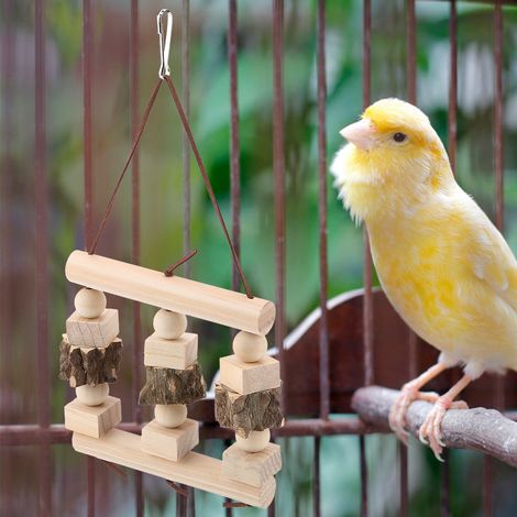 Perchoir en bois pour perroquet, support à mâcher, jouet à mâcher, accessoire de décoration pour cage à oiseaux (1/5)