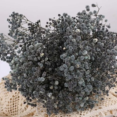 Fleurs Séchées - Gypsophile Séché - Bouquet de 17 Pouces avec 2500+ Fleurs Noires - Décoration pour Mariage Bureau Maison Jardin Fête - Lot de 1 (1/5)