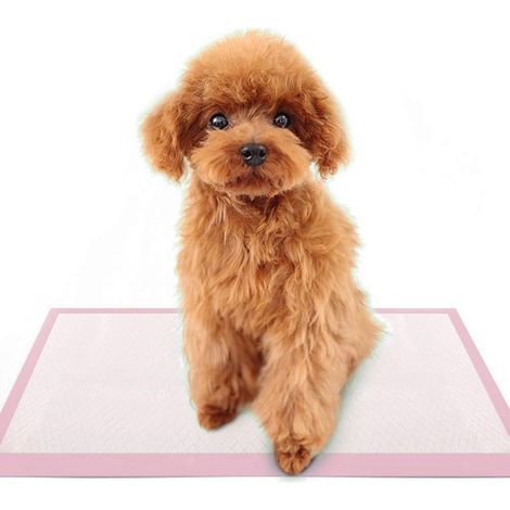 Lot de 40 Tapis Educateurs pour Apprentissage de la propreté pour Chien et Chat (60 x 60 cm, 40 pcs, Pink)-Fei Yu (1/5)