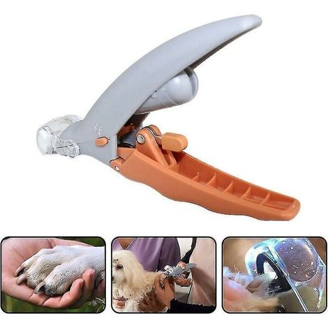 Coupe-ongles professionnel pour animaux de compagnie, ciseaux pour chiens et chats, pince à griffes d'orteils (1/5)