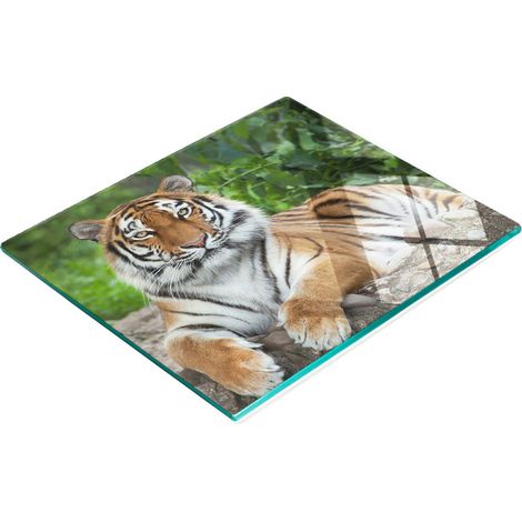 Tabla de cocina de vidrio templado con estampado de tigre siberiano, 60x52 cm. (1/5)