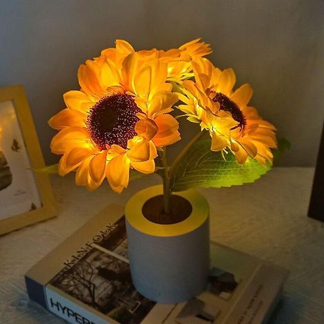 Rechargeable LED Night Light for Adults (Warm White), 5 Adjustable Brightness Levels, 2000mAh, Ambient Light with Motion Sensor (1/5)