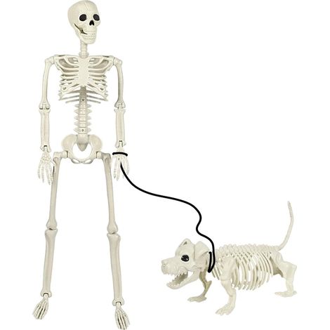 Esqueleto realista para exteriores para Halloween (1/5)