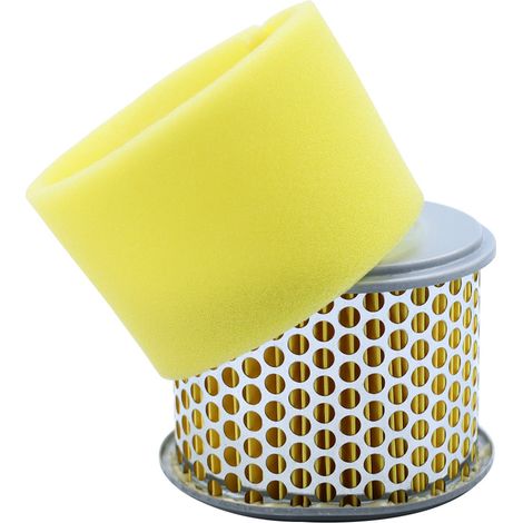 Filtre à air compatible Honda GX240, GX270 8/9 HP, 17210-ZE2-505 (1/3)