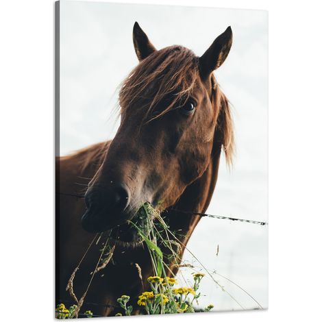 Stampa su tela Animali Testa di cavallo 60x90 cm Scuderia per cavalli