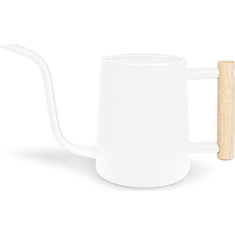 Arrosoir pour plantes d'intérieur, ml (35 oz), acier inoxydable avec long bec, blanc. (1/5)