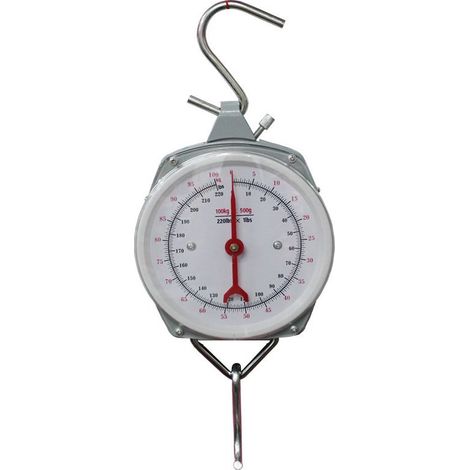 EASYCOMFORT Pèse-personne suspendu industriel 200 kg, balance à crochet de levage professionnelle pour chargement (1/5)