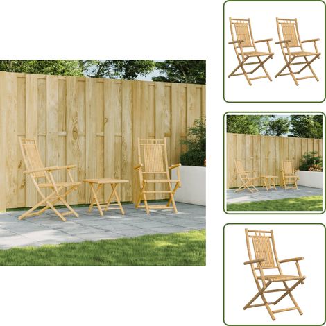 The Living Store Chaises pliables de jardin lot de 2 53x66x99 cm bambou - Chaise De Jardin - Chaise Pliante - Mobilier De Jardin - Bambou - Terrasse (1/5)