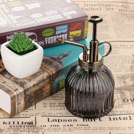 Pulvérisateur à plantes en verre vintage 330ml, gris, pompe métallique avec anneau, idéal pour succulentes et orchidées, design rétro élégant (1/5)