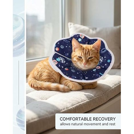Colerette Chat Anti Lechage Anti-Puces et Anti Lechage Réglable et Auto-Adhésif Tour Cou 16-23 cm MatièRe Souple Collier Chiens et Chats (1/2)