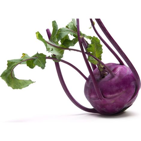 Semi di Cavolo Rapa di Vienna violetto per orto e giardino