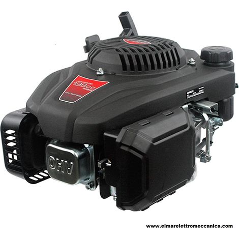 LONCIN 6.5 HP Albero 22,2 x 80 196 cc Motore 4 tempi Verticale